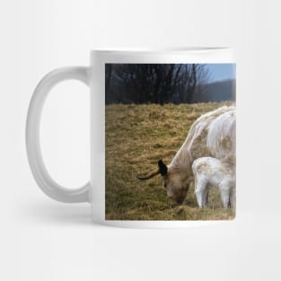 Feeding calf and mother Mug